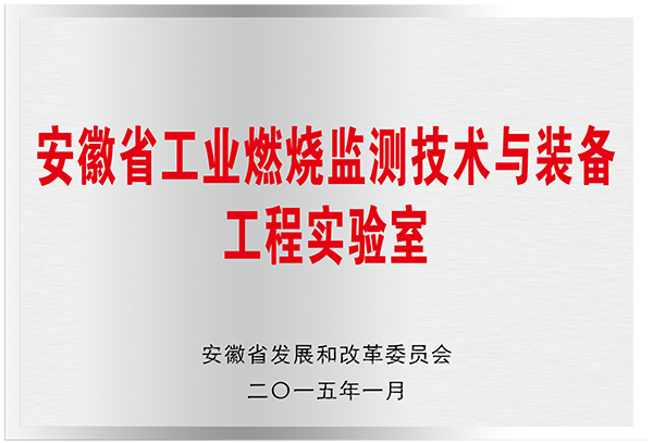 安徽省工業(yè)燃燒監(jiān)測(cè)技術(shù)與裝備工程實(shí)驗(yàn)室